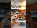 Baki vs Oliva: 100KG Lighter Boy DESTROYS America’s Strongest Man?! 😳💥 #anime #shorts #baki