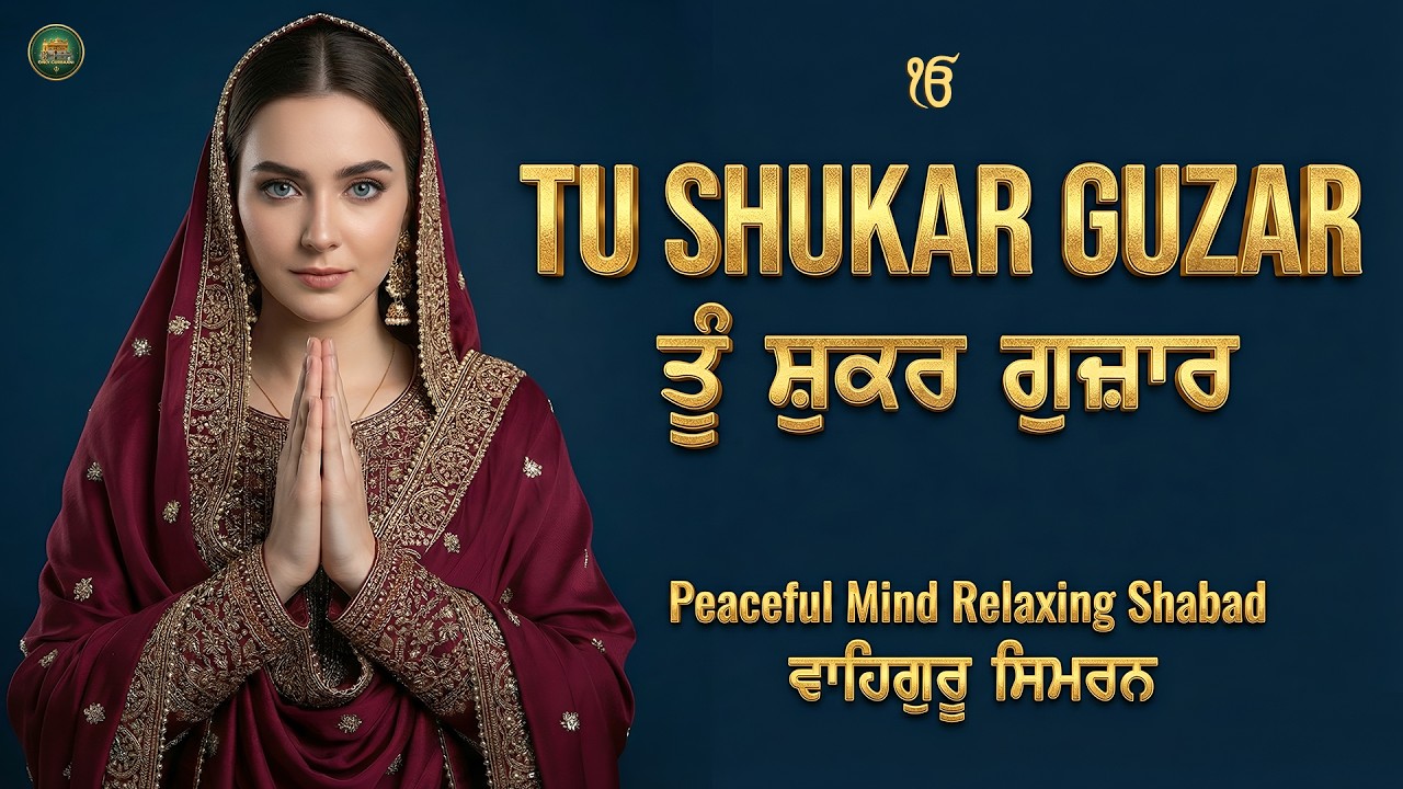 Tu Shukar Guzar I ਤੂੰ ਸ਼ੁਕਰ ਗੁਜ਼ਾਰ I Waheguru Simran I Gurbani Simran I Satnam Waheguru I Waheguru