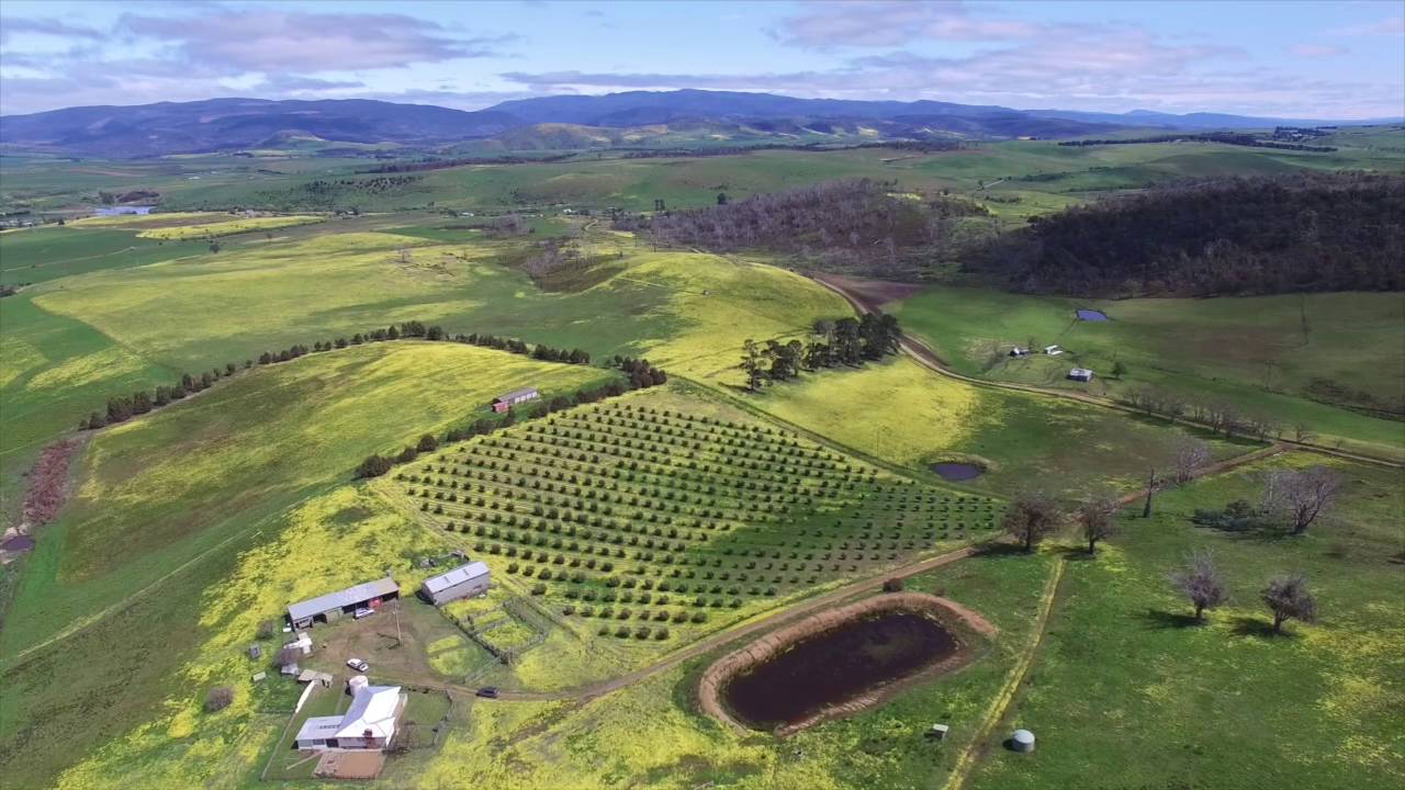 170 Bluff Road Gretna Tasmania FOR SALE YouTube