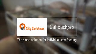 Free-access stall With Electronic sow feeding CallBackpro
