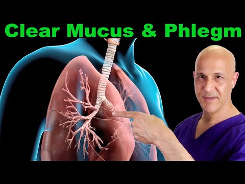 1 Cup...Sleep Deeply & Clear Mucus/Phlegm in Respiratory Tract | Dr. Mandell