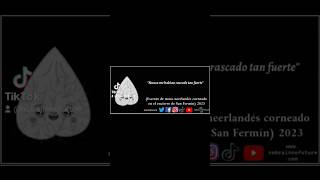 #SanFermin #Sanfermines #SanFermin2023 #pamplona #encierro #cornada #toro #toros #cebadagago