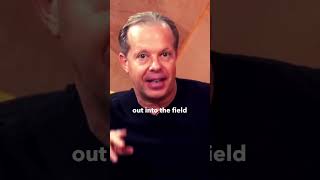 How To Manifest The Relationship You Want  Dr Joe Dispenza