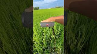 Jbl jump water jump essentials test