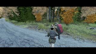 Dayz Wolf attack