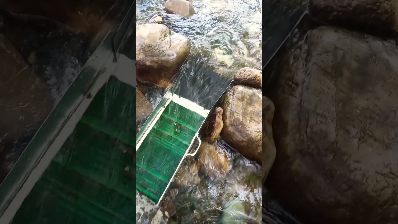 BUSCANDO😍¡ORO! en ASTURIAS, ESPAÑA