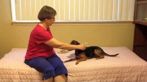 Counterconditioning: Where