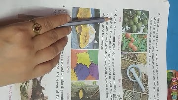 Class-5th Forests Products (part-2)