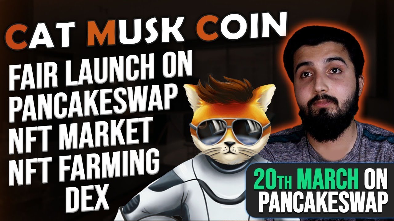 Cat Musk Coin: Fair Launch on Pancakeswap || DEX | Nft Marketplace | NFT farming