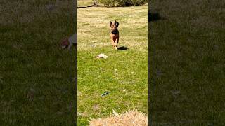 She Can Make Up Some Ground When She Wants To