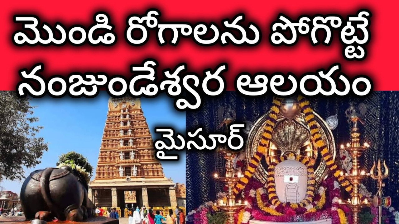 Mysore Nanjundeshwar shiva temple miracles | Discover the healing powers of nanjundeshwar temple