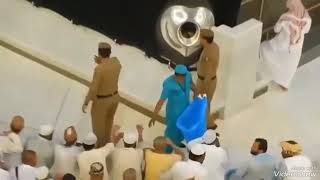 ليتني في سرب الحمام - اسمعها
