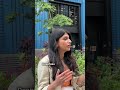 AI Powered Viral Hits