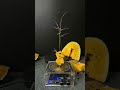 Spinning lightning