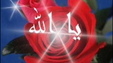 سورة الأنعام للقارئ محمد هارون بمسجد الايمان ببورسعيد