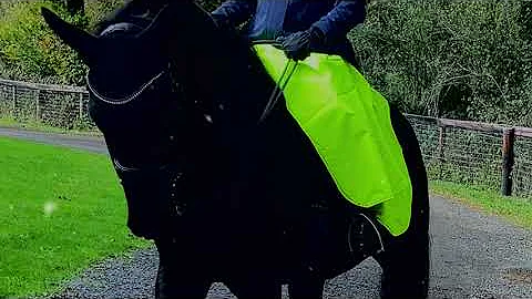 Equetech Reversible Waterproof Riding Skirt