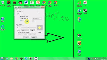 how to change cursor using camstudio