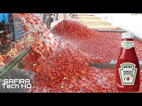Vídeo: Tomate E Ketchup De Maçã: Recursos