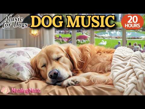 20 HOURS of Dog Calming Music🐶🎵Dog Stress Relief Music🐶💖Dog Calm Soothing & Rest Music⭐Healingmate