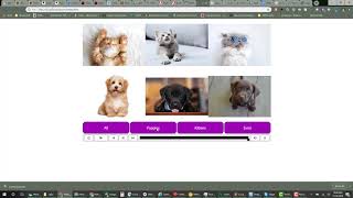 Select and Zoom Images in Captivate with JavaScript Profile