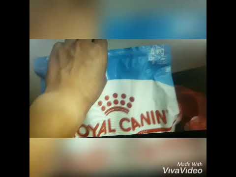 Royal Canin Maxi Puppy Zoomalia