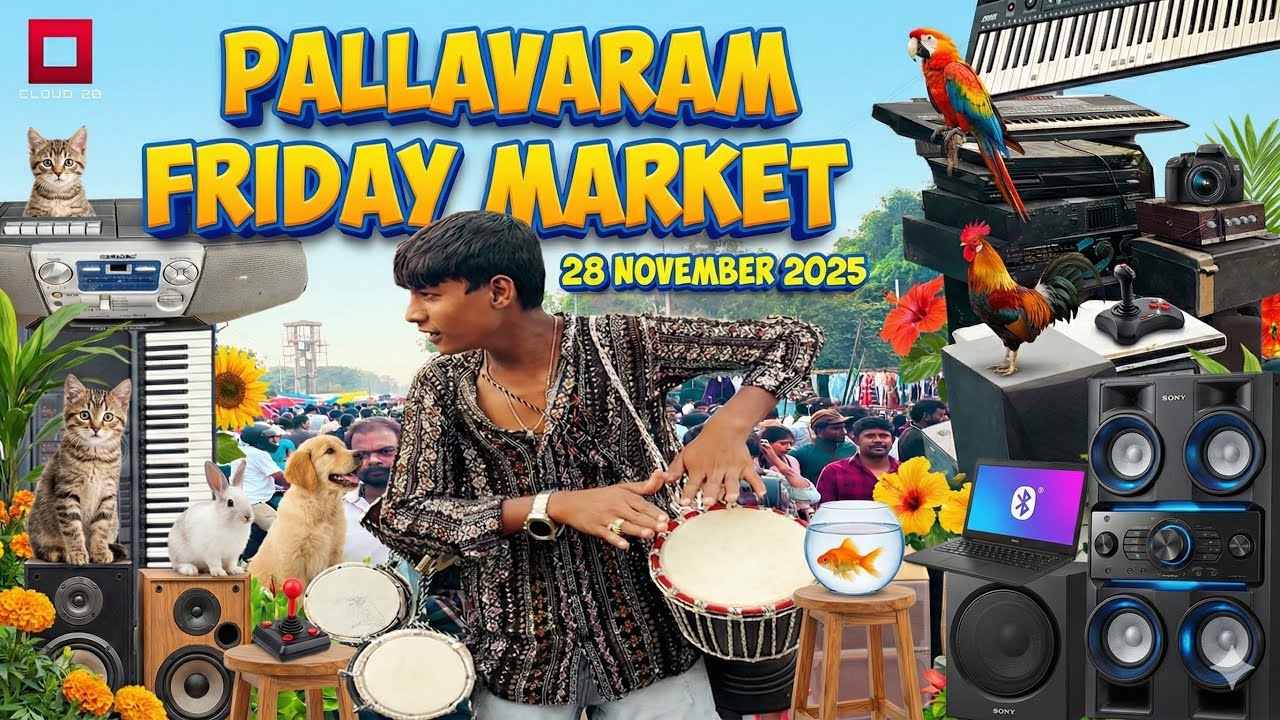 Pallavaram Market FULL Explore 🔥 Electronics, Pets, Plants, Groceries, Hardware & More | Full Tour!