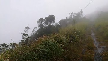 Hidden telecommunication tower on the mountains
