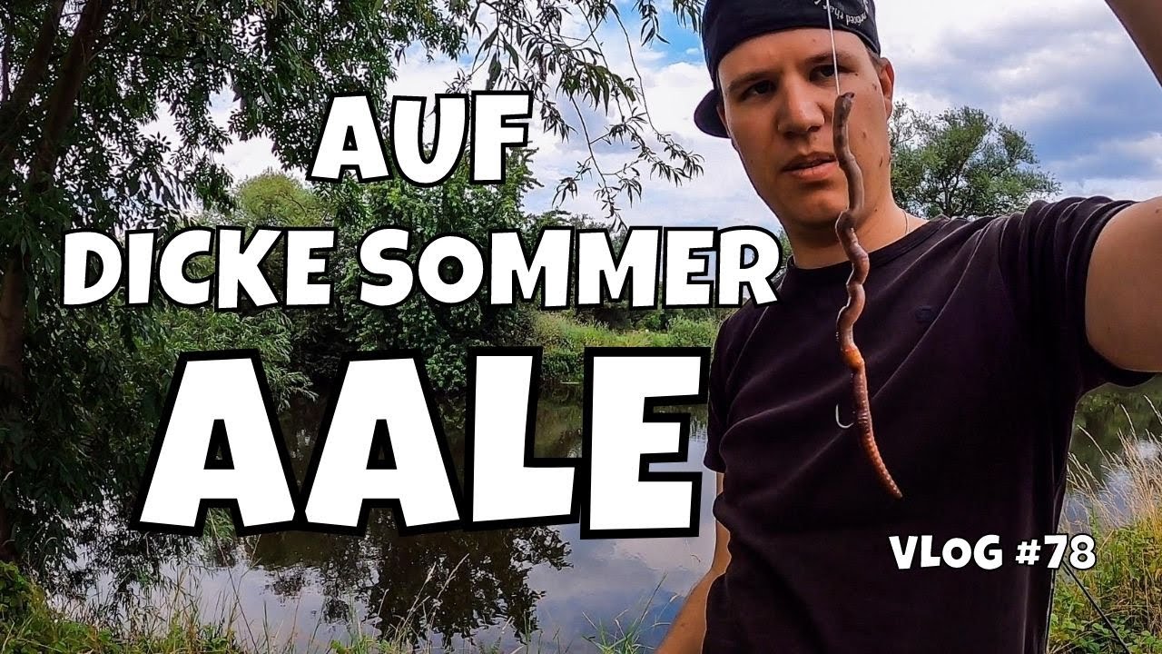 Aal Ansitz an der Leine Hannover | Angeln auf DICKE Sommer Aale am Fluss mit Wurm | Vlog #78