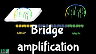 Bridge Amplification Sequencing By Synthesis 