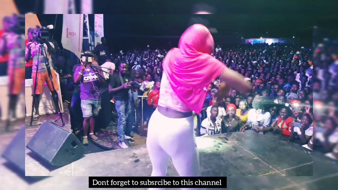 Kapa Cat Purple Party Performance. YouTube