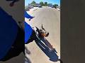 Doberman off leash focus #doberman #dobermanpinschers #dog #dogtraining #puppy #doglover