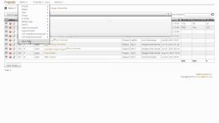 Filters in qdPM Extended 3.0 Project Management