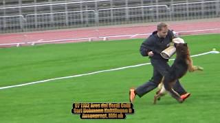 2017 Sv Bszs In Ulm Tsb Part 17 V7 Ares Dei Verdi Colli