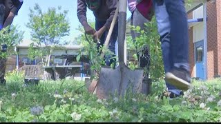 Gardening, raising chickens becoming popular amid pandemic