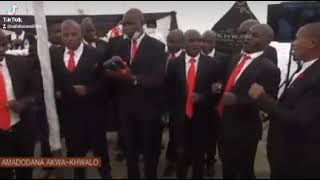 Amadodana  Ave Kumnandi