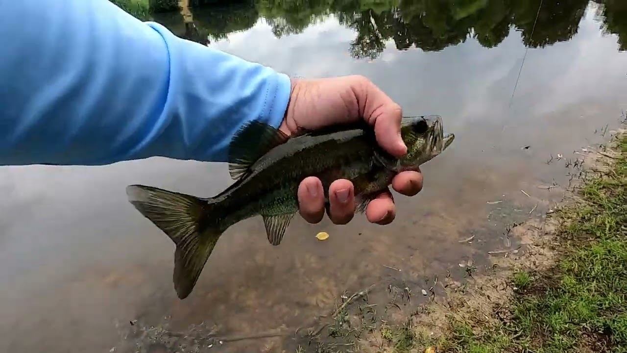 Old rod and reel fishing challenge! Hutchins Pond Calvert County Maryland!