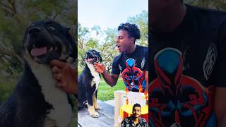 I Gave My Dog A Birthday Present! #shorts #ishowspeed #dog #birthday #play