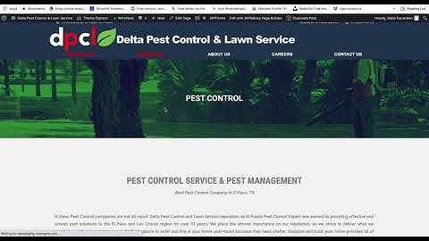 How to Change Page Header in Wordpress Theme The7