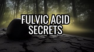 Don't Sleep on Fulvic Acid - Shilajit (ep 1 Master the Temple)