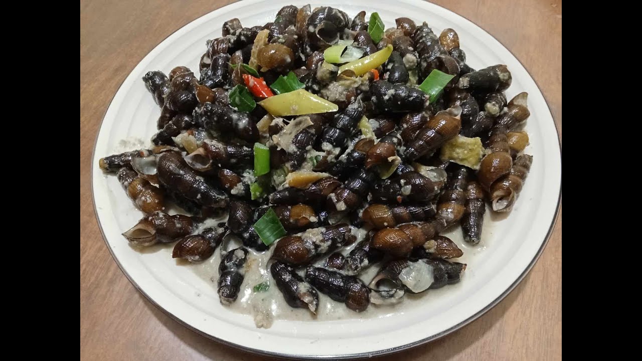 How to Cook Ginataang Susô - YouTube