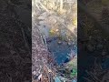 relaxing sounds of the creek #soothing  #water #georgia #nature