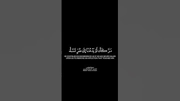 وإذا مس الإنسان الضر دعانا لجنبه | كرومات قرآن كريم بصوت #ياسر_الدوسري | #سورة_يونس