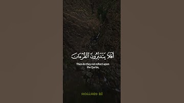 أفلا يتدبرون القرآن أم على قلوب أقفالها ( #سورة_محمد ) 🤲🤍