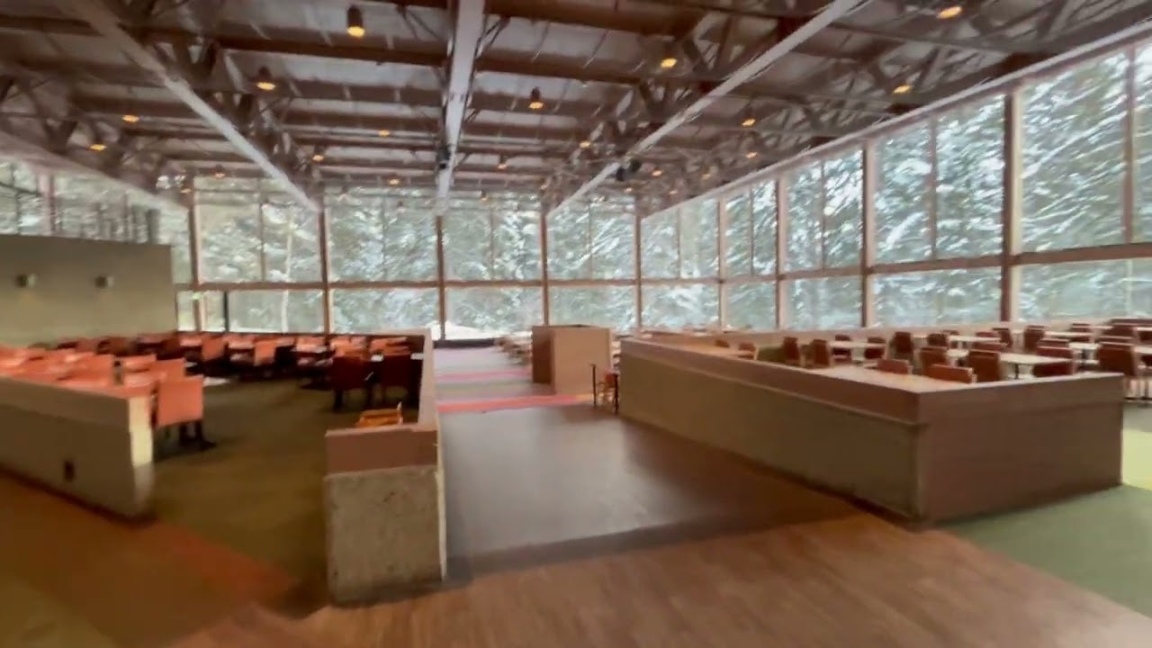 【20260123 Part1】北海道 #小樽 #Otaru Canal (小樽运河) #Tomamu (星野)