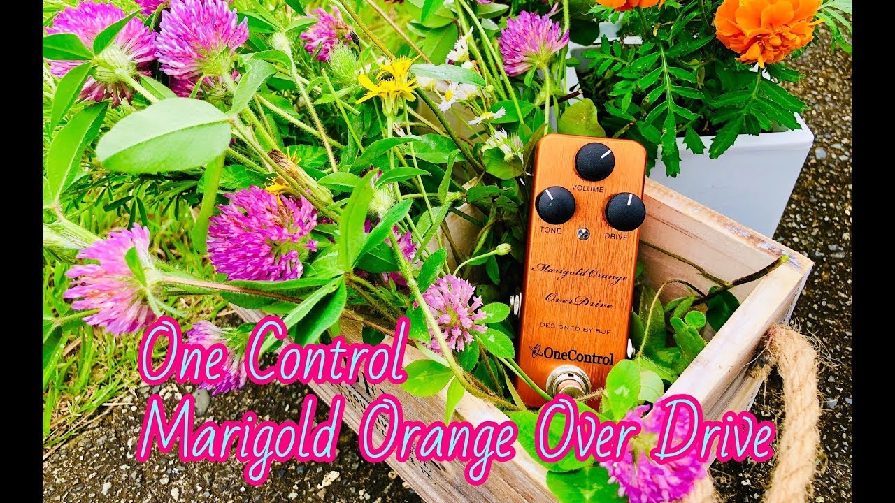 ブログ】おまたせしました！One Control Marigold Orange OverDriveの 