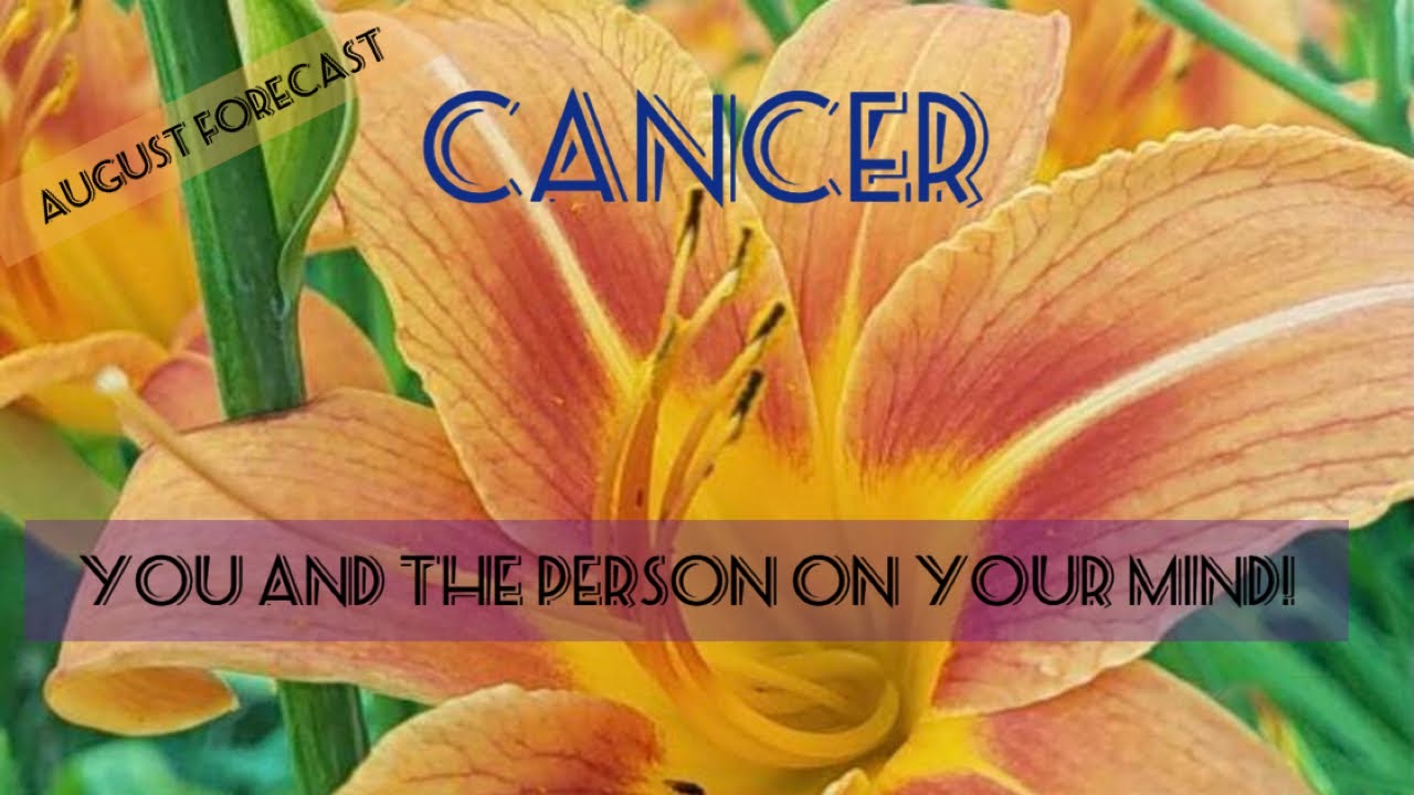 Cancer! August Forecast! ❤️‍🔥You Deserve Better Than How This Person Treats You! Walk Away❤️‍🔥