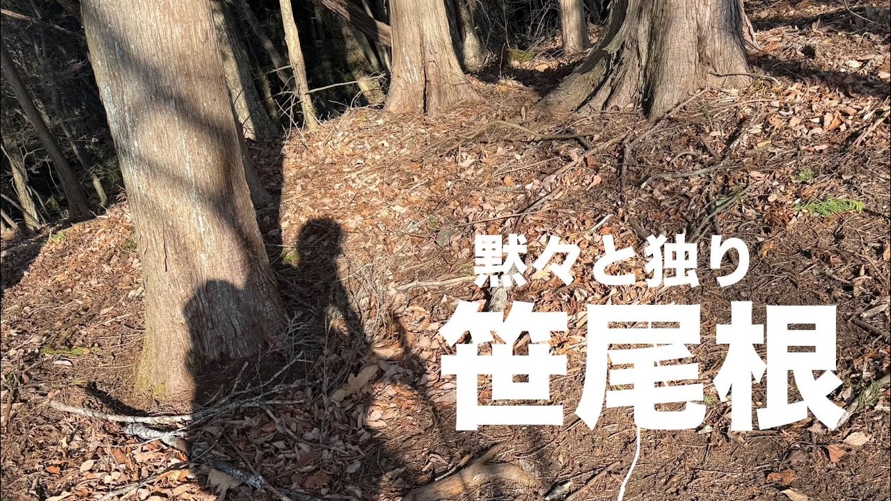 【笹尾根】東京の尾根を黙々と独りゆく