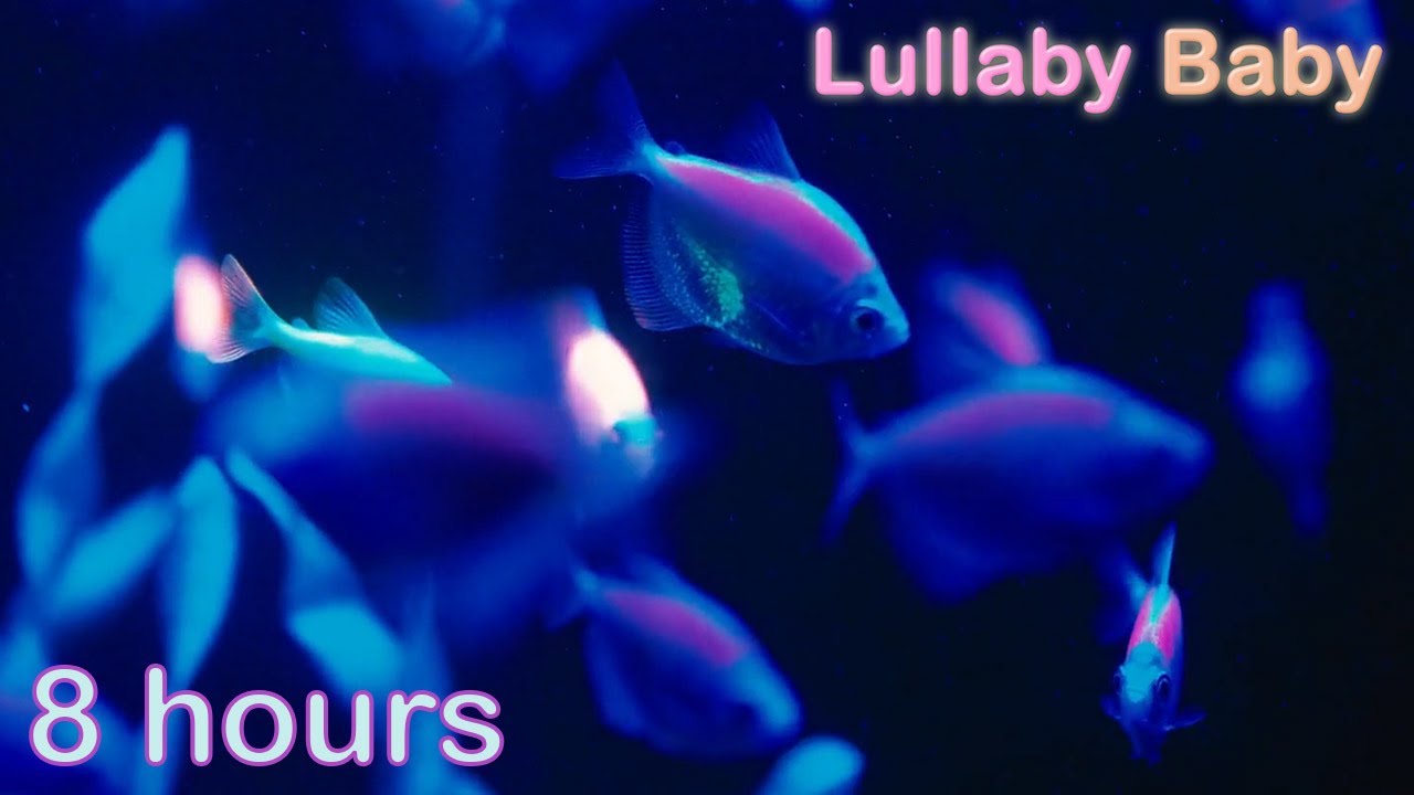 ☆ 8 HOURS ☆ UNDERWATER SOUNDS with MUSIC ♫ ☆ NO ADS ☆ Relaxing Sleep Music, Stress Relief, Calm Baby