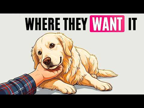 Most Owners Get Petting Wrong — Here's Where Dogs Want to Be Touched