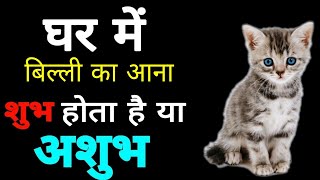 Vastu घर में बिल्ली का आना शुभ होता है या अशुभ जानिये। बिल्ली ka Ghar me Aana Shubh ya Ashubh/Cat